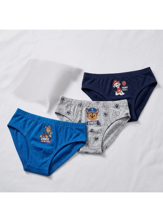 Paw Patrol 3-Pack boys' 100% cotton briefs, by kids TV