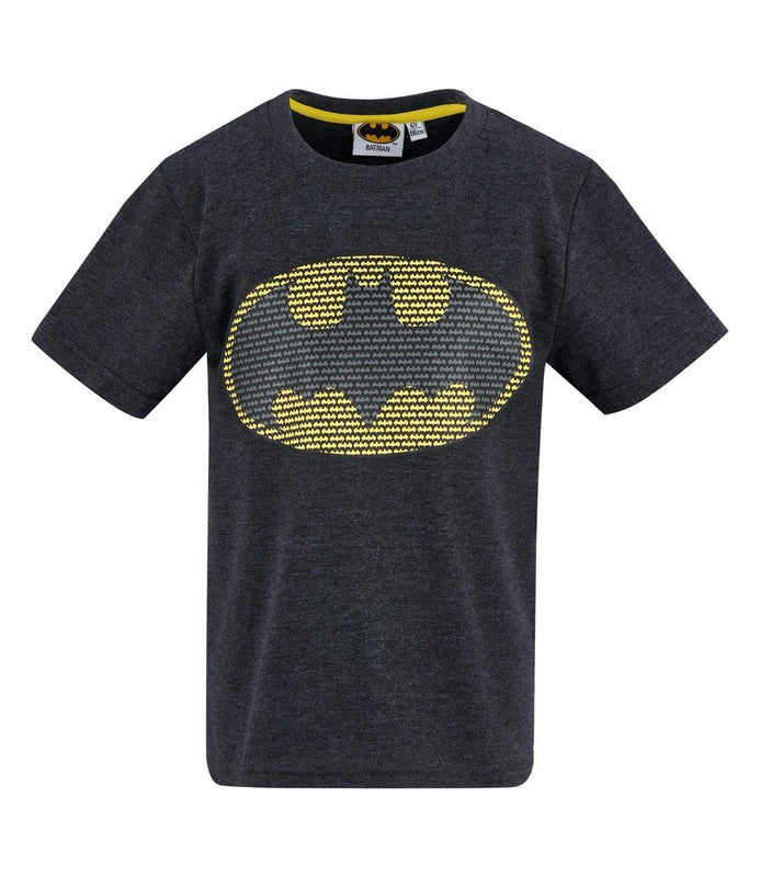 LEGO Batman T-shirts boys by kids tv100% cotton.