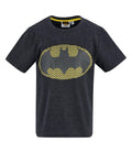 LEGO Batman T-shirts boys by kids tv100% cotton.