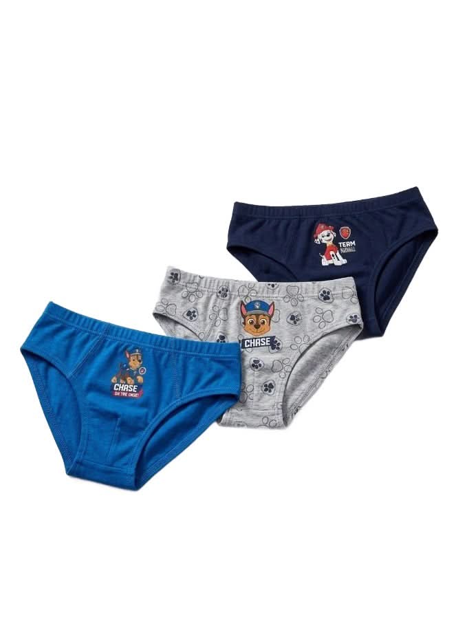 Paw Patrol Bath Time Bundle — paw patrol 3 pack boys briefs - KIDS Tv Egypt